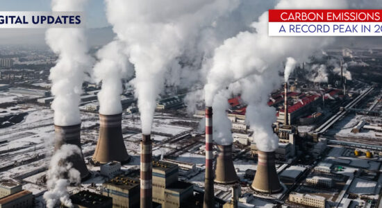 Carbon Emission on peak
